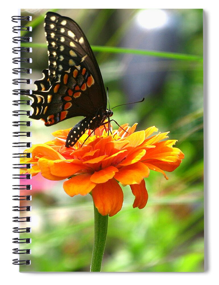 Summer Spiral Notebook featuring the photograph A Touch Of Summer's End by Brittany Horton
