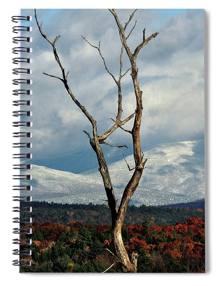 Autumn Spiral Notebook featuring the photograph A Trees View by Nancy Griswold