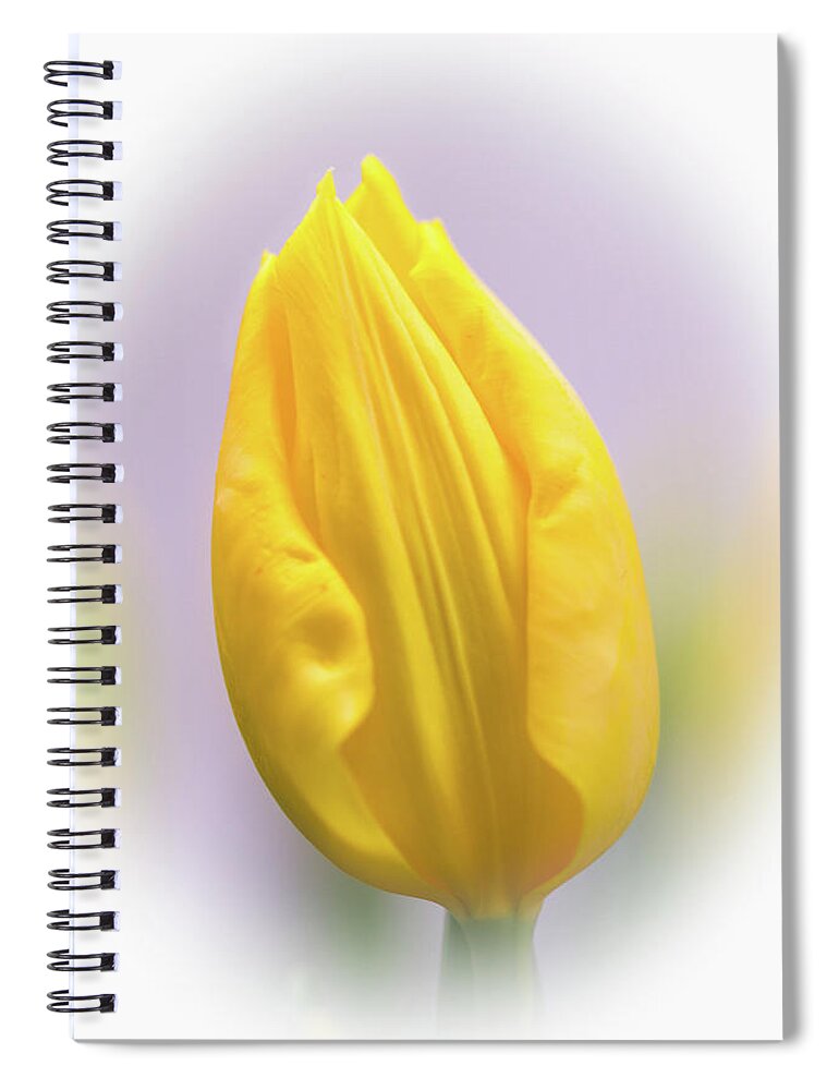 Tulip Spiral Notebook featuring the photograph A Tulip in Dandelion Yellow by Carol Senske