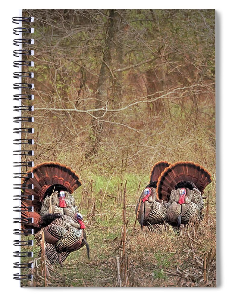 Turkey Spiral Notebook featuring the photograph A Turkey Hunters Dream by Susan Rissi Tregoning