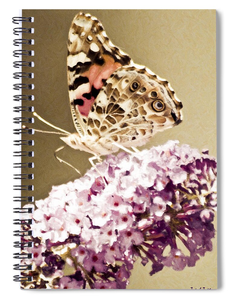 Butterfly Spiral Notebook featuring the photograph A Visit From Pat by Trish Tritz