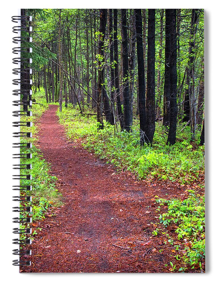 Forest Spiral Notebook featuring the photograph A walk in the Forest by Bill Cubitt