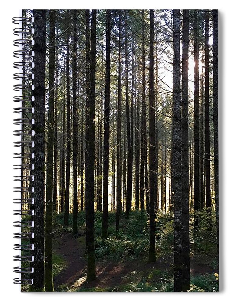 Forest Spiral Notebook featuring the photograph A Walk In The Trees by Brian Eberly