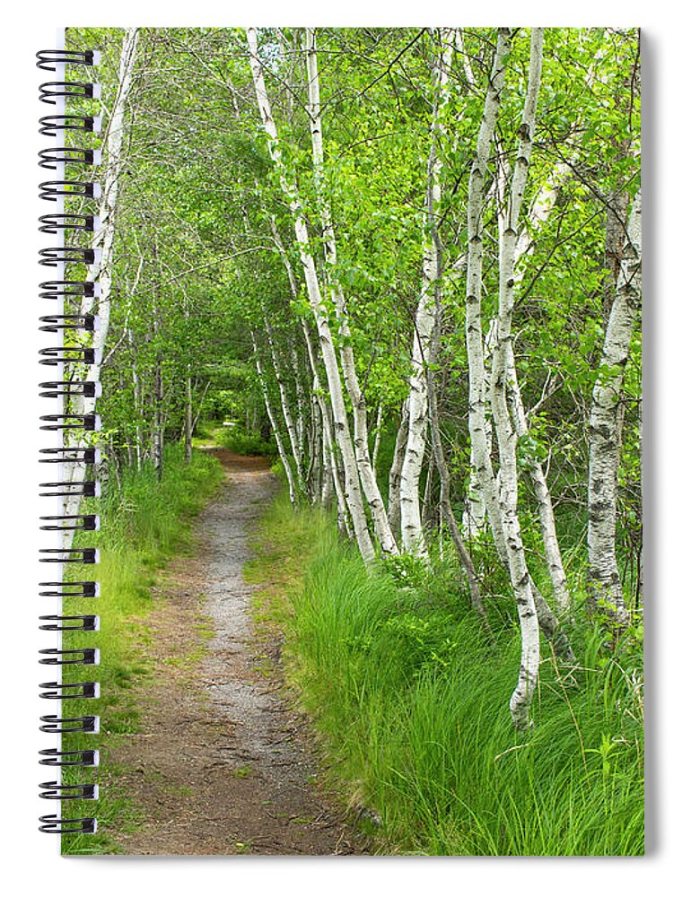 Acadia National Park Spiral Notebook featuring the photograph A Walk in the Woods by Holly Ross