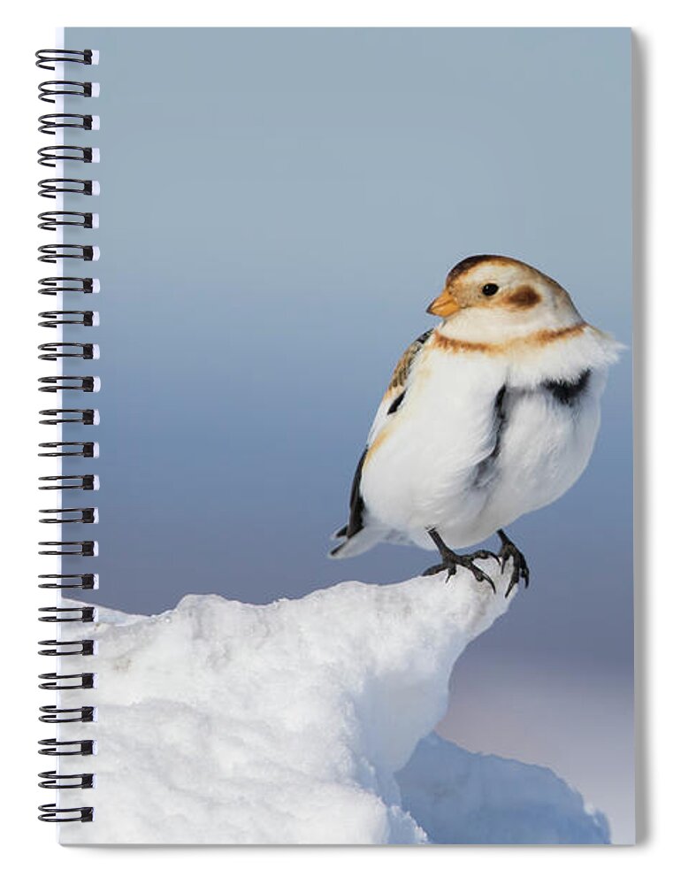 Bunting Spiral Notebook featuring the photograph A windy day by Mircea Costina Photography