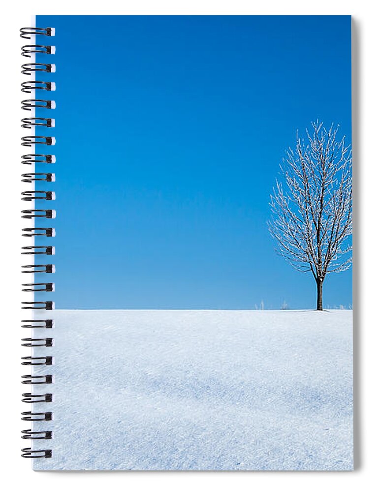 Cold Spiral Notebook featuring the photograph A Winter's Landmark by Todd Klassy