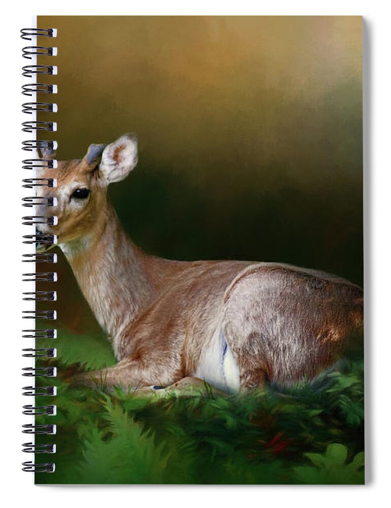 Animal Spiral Notebook featuring the photograph A Young Buck by Lana Trussell