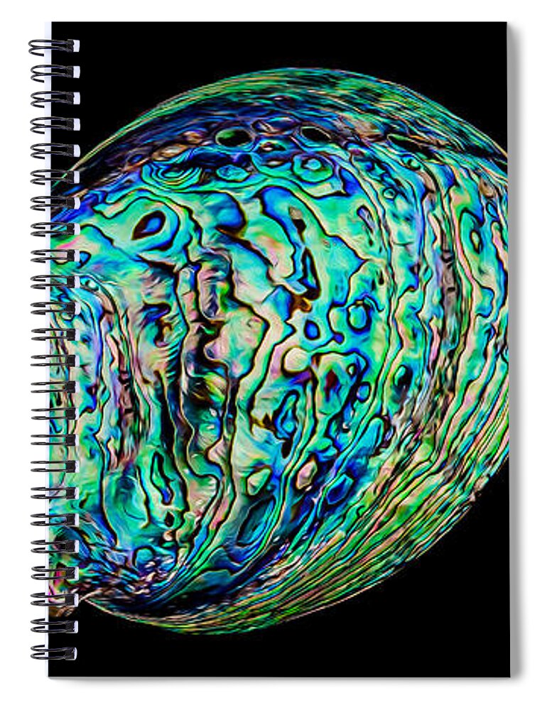 Animals Spiral Notebook featuring the photograph Abalone on Black by Rikk Flohr