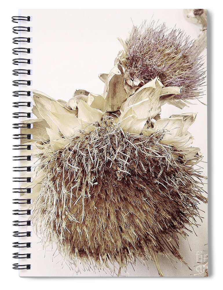Thistle Spiral Notebook featuring the photograph Aberdeen by Linda Lees