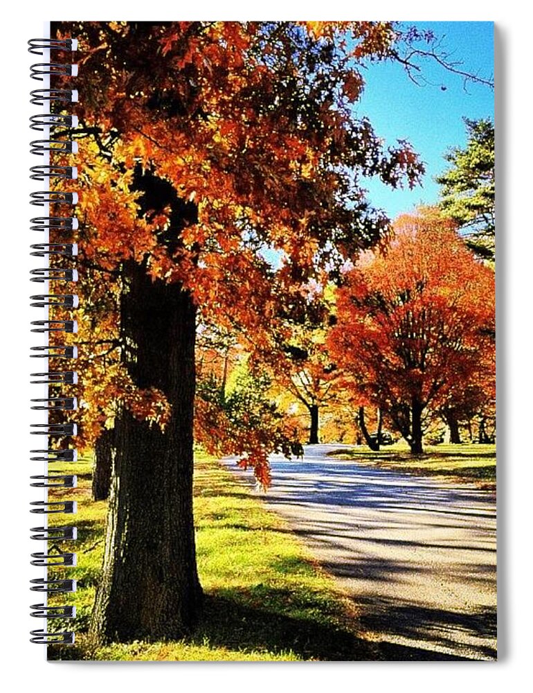 Acceptance Spiral Notebook featuring the photograph About Autumn by Nick Heap