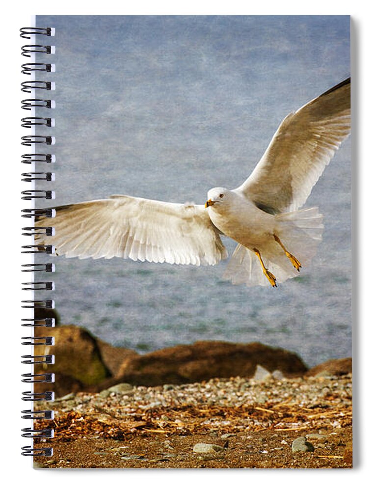 Flight Spiral Notebook featuring the photograph About To Land by Karol Livote