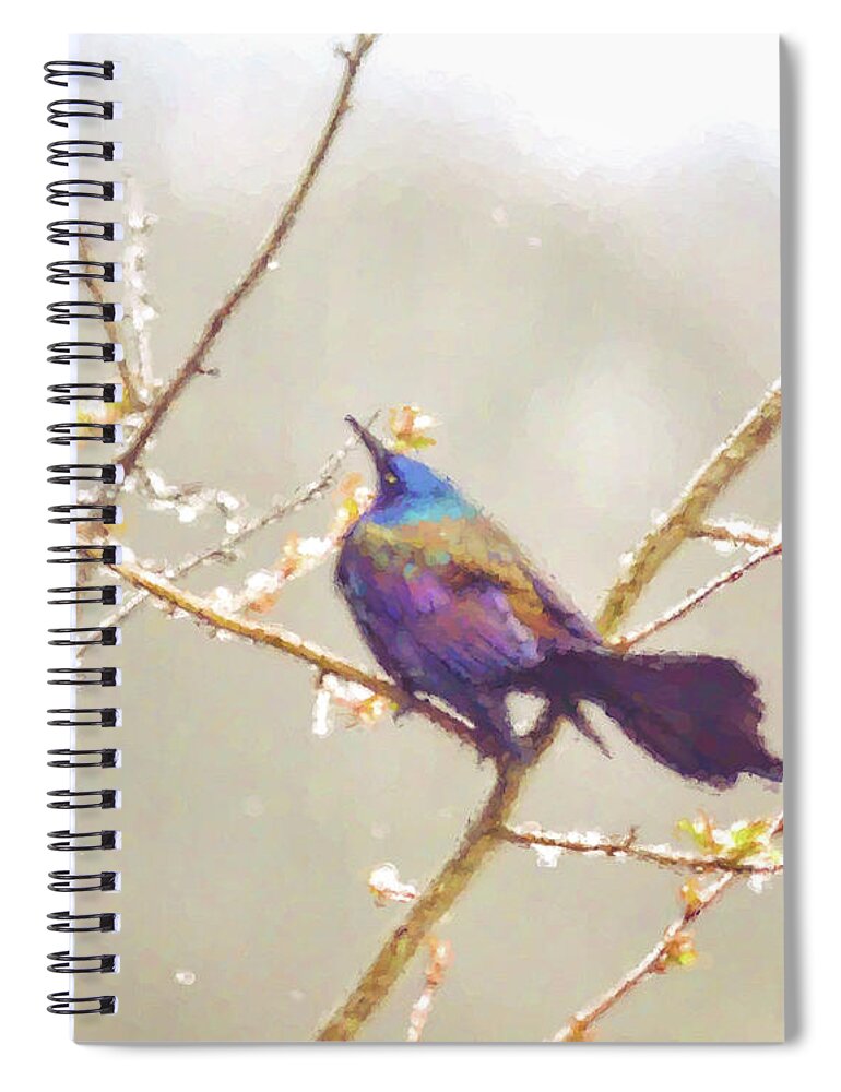 Abstract Art Spiral Notebook featuring the photograph Abstract Art - Grackle In the Snow by Kerri Farley
