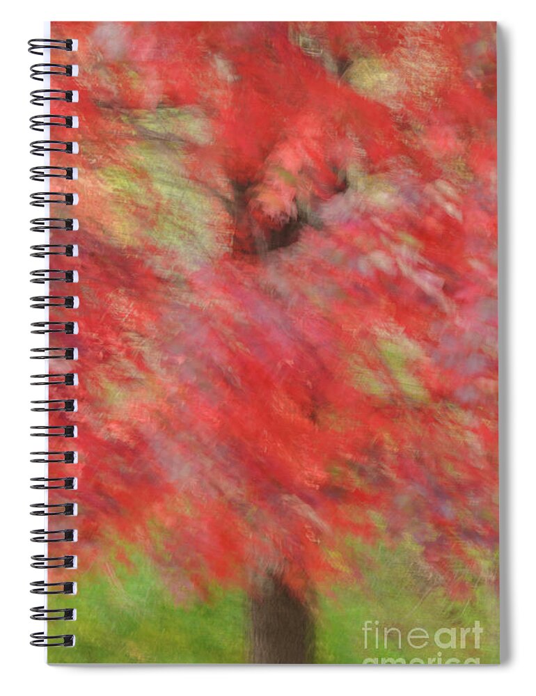 Abstract Spiral Notebook featuring the photograph Abstract Autumn Red Maple by Tamara Becker