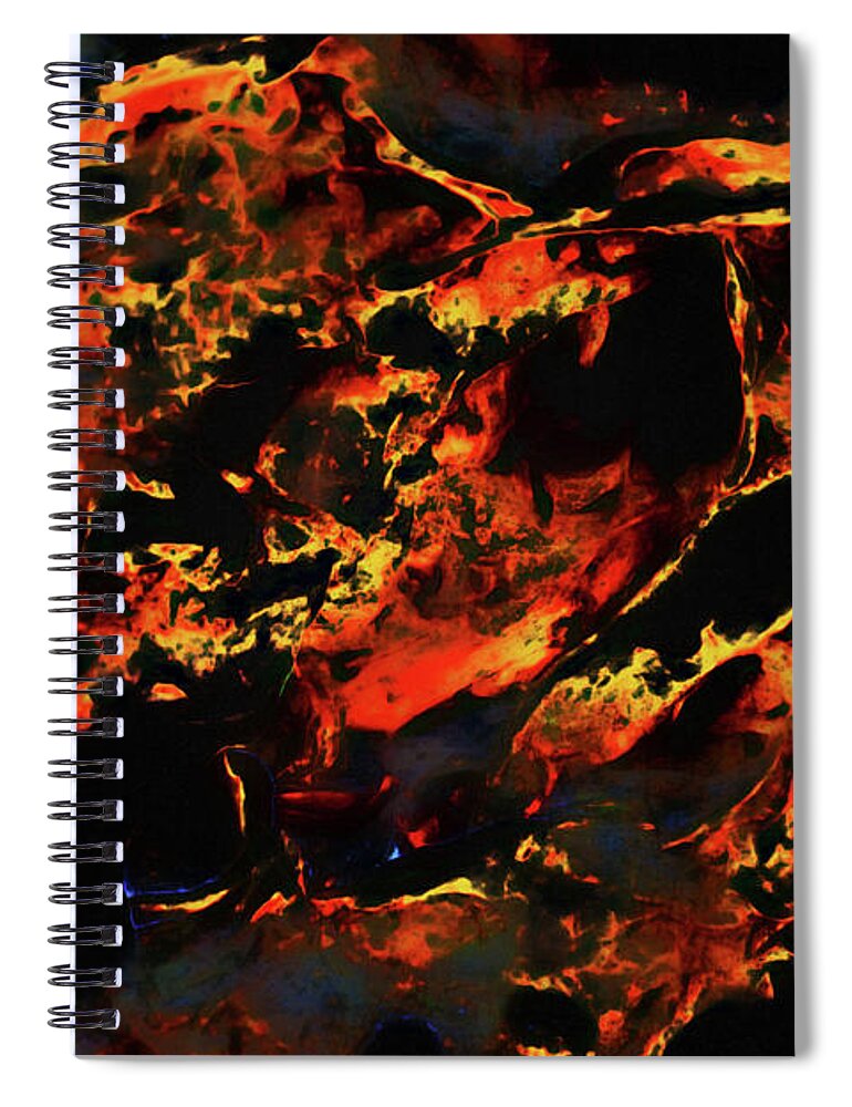 Abstract Spiral Notebook featuring the photograph Abstract Coquina by Gina O'Brien