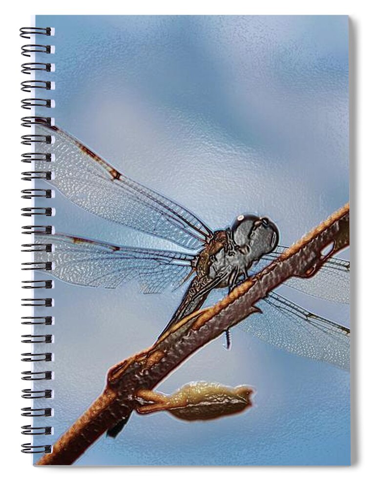 Dragonfly Spiral Notebook featuring the photograph Abstract Dragonfly by Cynthia Guinn