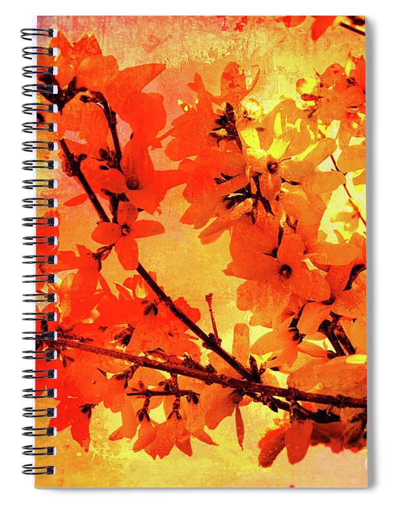 Forsythia Spiral Notebook featuring the photograph Abstract Forsythia Flowers by Anita Pollak