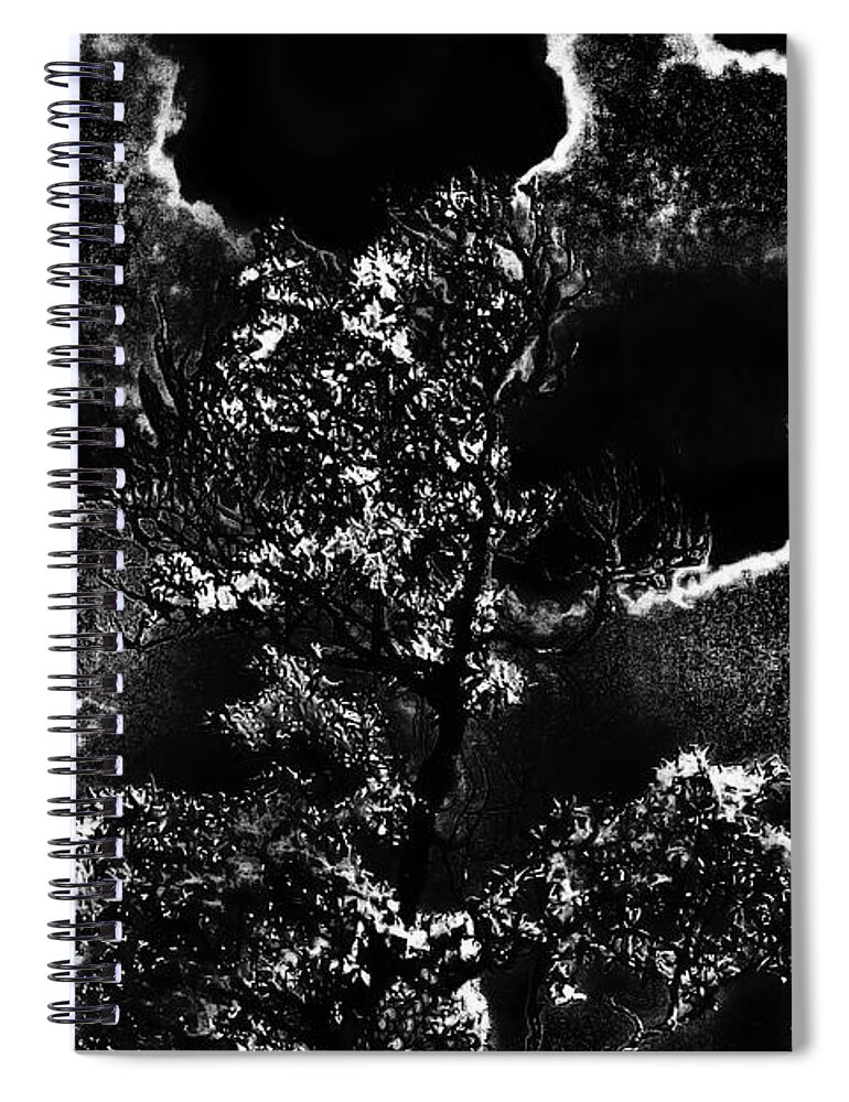 Abstract Spiral Notebook featuring the photograph Abstract Magnolia Against Stormclouds by Gina O'Brien