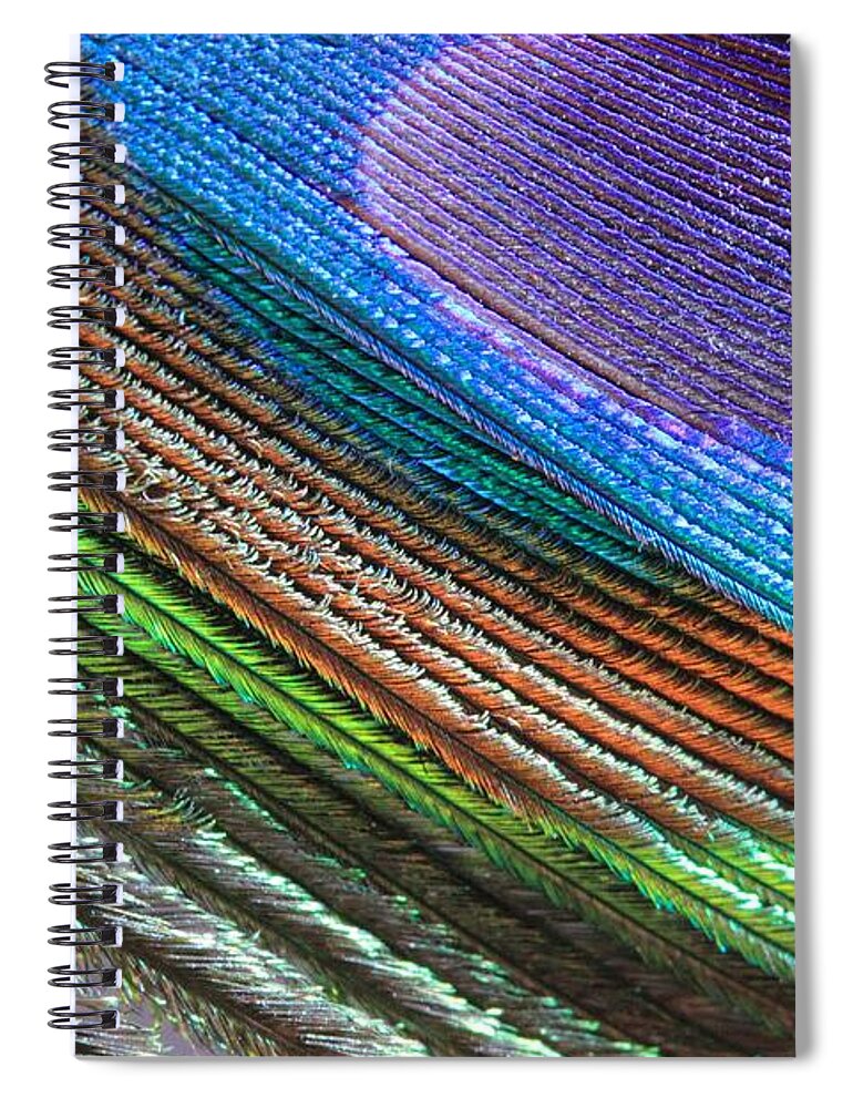 Peacock Feather Spiral Notebook featuring the photograph Abstract Peacock Feather by Angela Murdock
