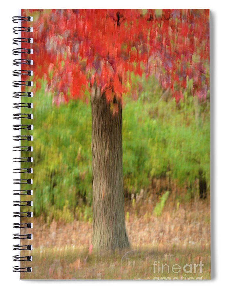 Abstract Spiral Notebook featuring the photograph Abstract Red Maple Tree by Tamara Becker