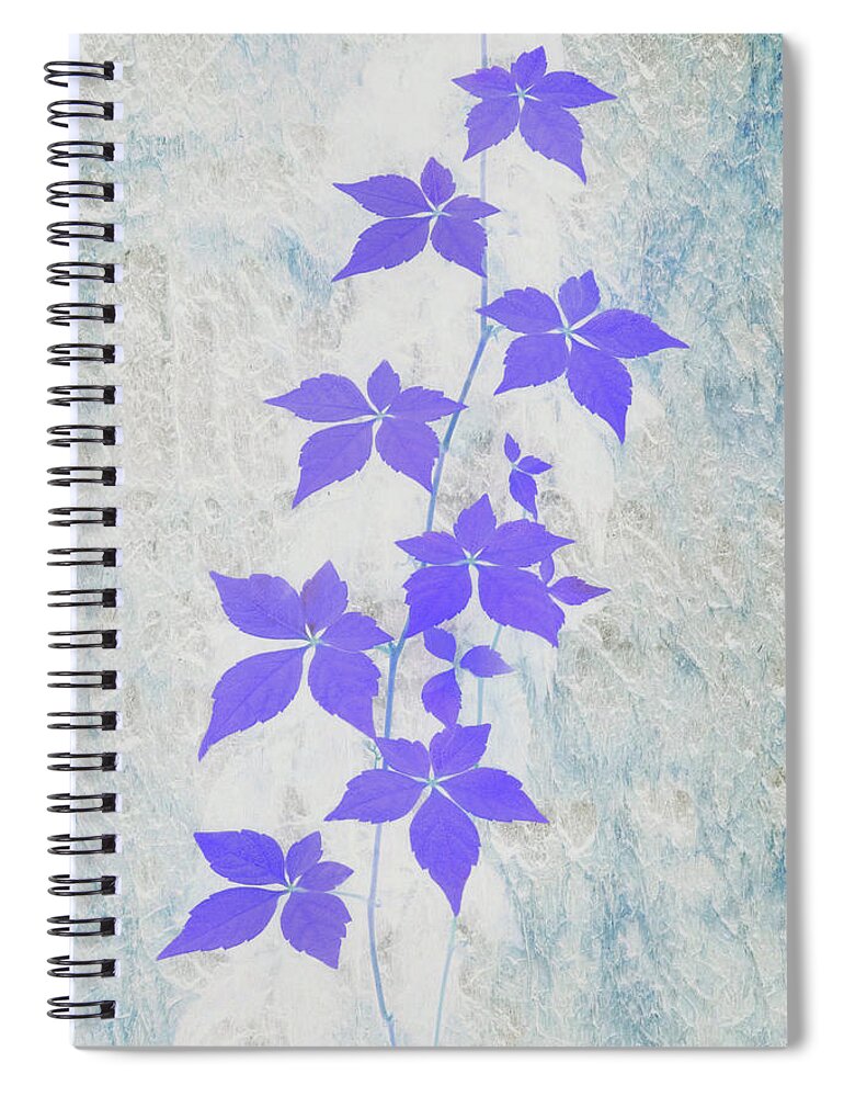 Vine Spiral Notebook featuring the photograph Abstractions from Nature - Wild Vine and Bark by Mitch Spence
