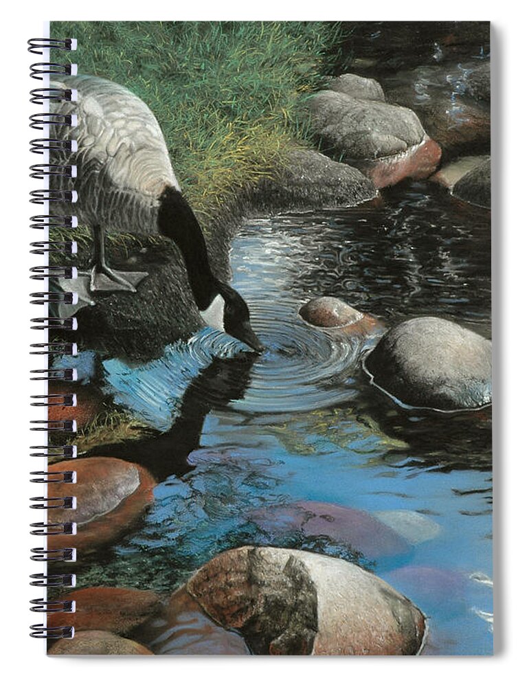 Canadian Geese Spiral Notebook featuring the painting Abundance by David Vincenzi