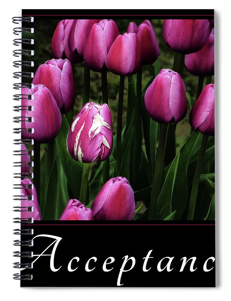Good Samaratan Society Spiral Notebook featuring the photograph Acceptance by Mary Jo Allen