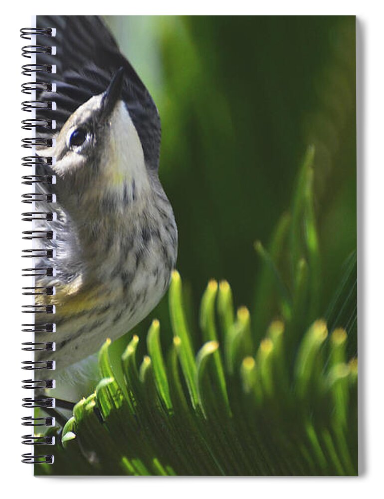 Meticulous Spiral Notebook featuring the photograph Accomplishment by Debby Pueschel