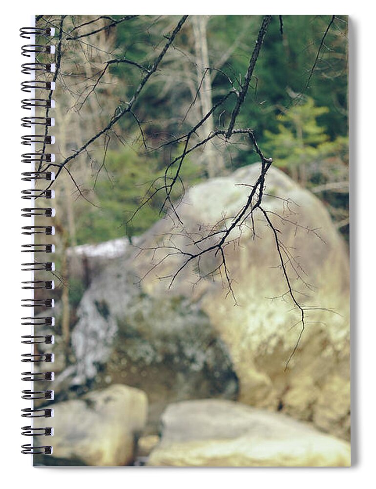 1st Spiral Notebook featuring the photograph Across From Eagle Falls by Amber Flowers