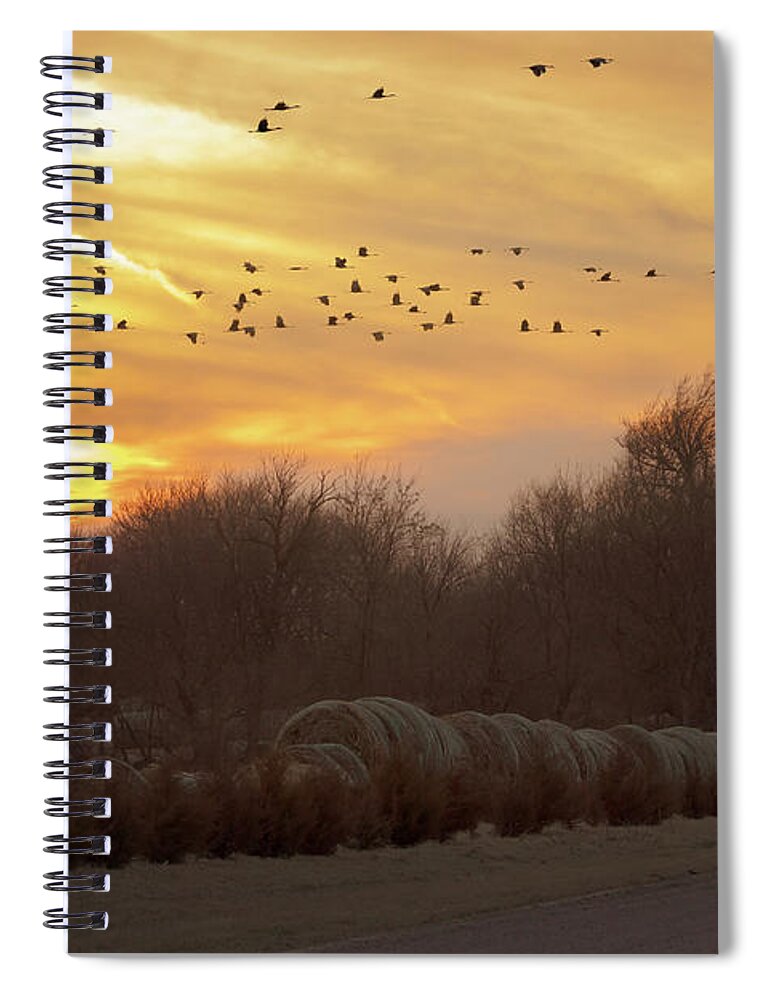 Sandhill Cranes Spiral Notebook featuring the photograph Across the Sky by Susan Rissi Tregoning
