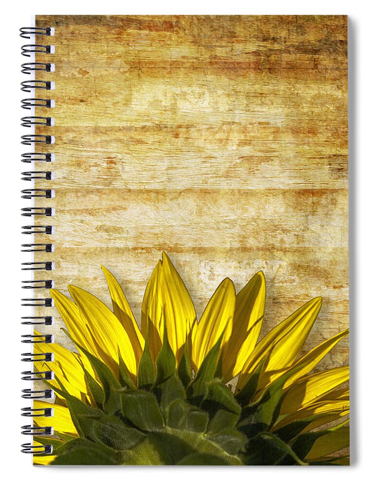 Beautiful Spiral Notebook featuring the photograph Ad Orientem by Melinda Ledsome