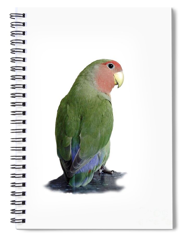 Bird Spiral Notebook featuring the photograph Adorable Pickle on a transparent background by Terri Waters