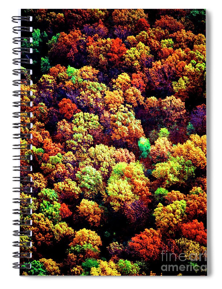 Aerial Spiral Notebook featuring the photograph Aerial Farm Tree Tops Fall Ff by Tom Jelen