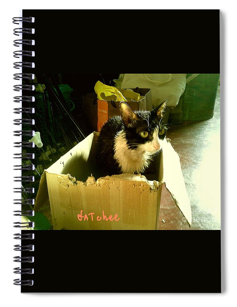 Bath Spiral Notebook featuring the photograph After Bath by Sukalya Chearanantana