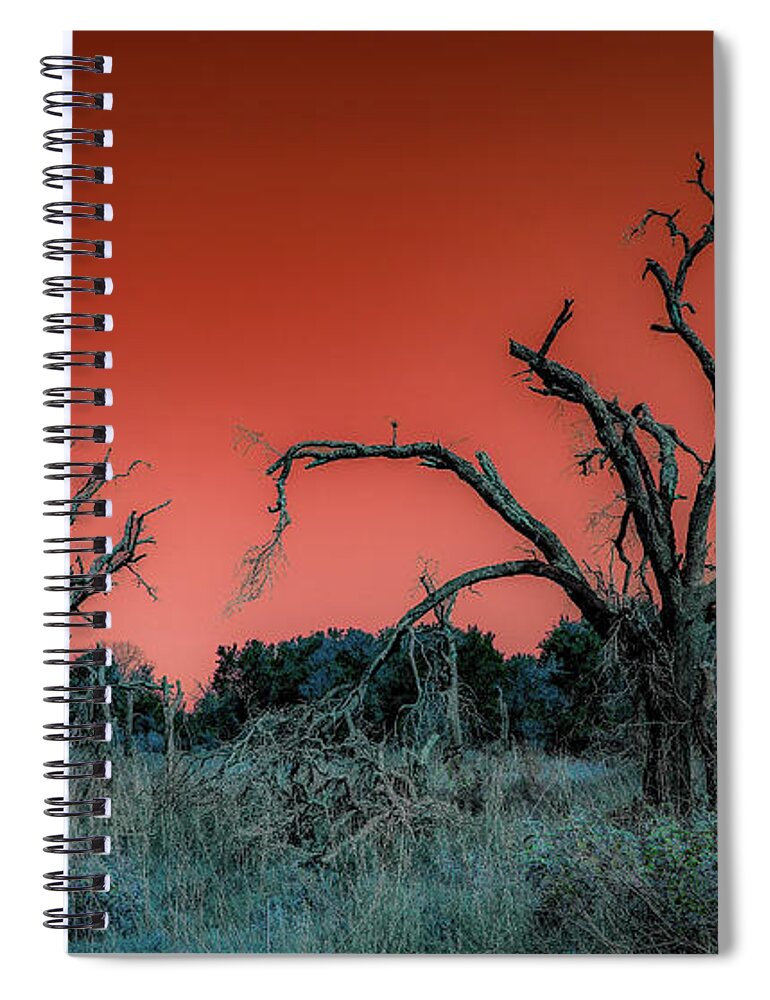 Somerville Spiral Notebook featuring the photograph After the Hurricane Wars by G Lamar Yancy