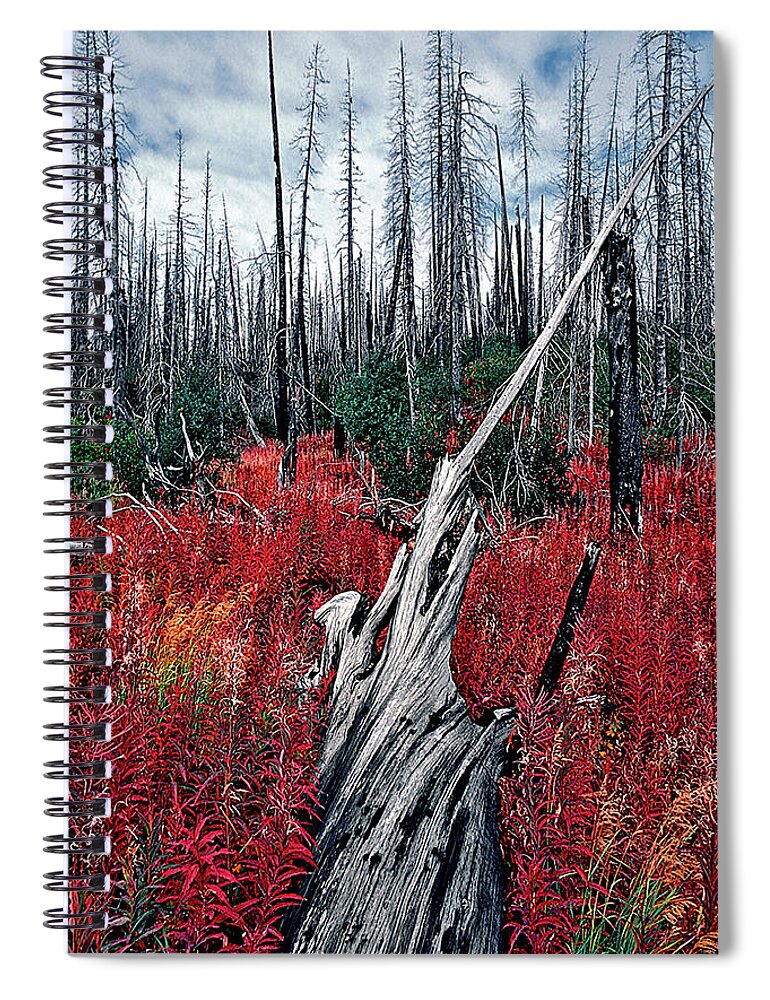 The Walkers Spiral Notebook featuring the photograph Afterburn by The Walkers