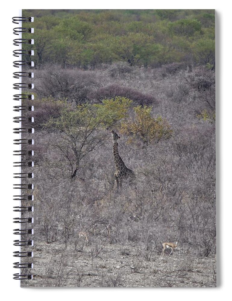 Giraffe Spiral Notebook featuring the photograph Afternoon Treat by Ernest Echols