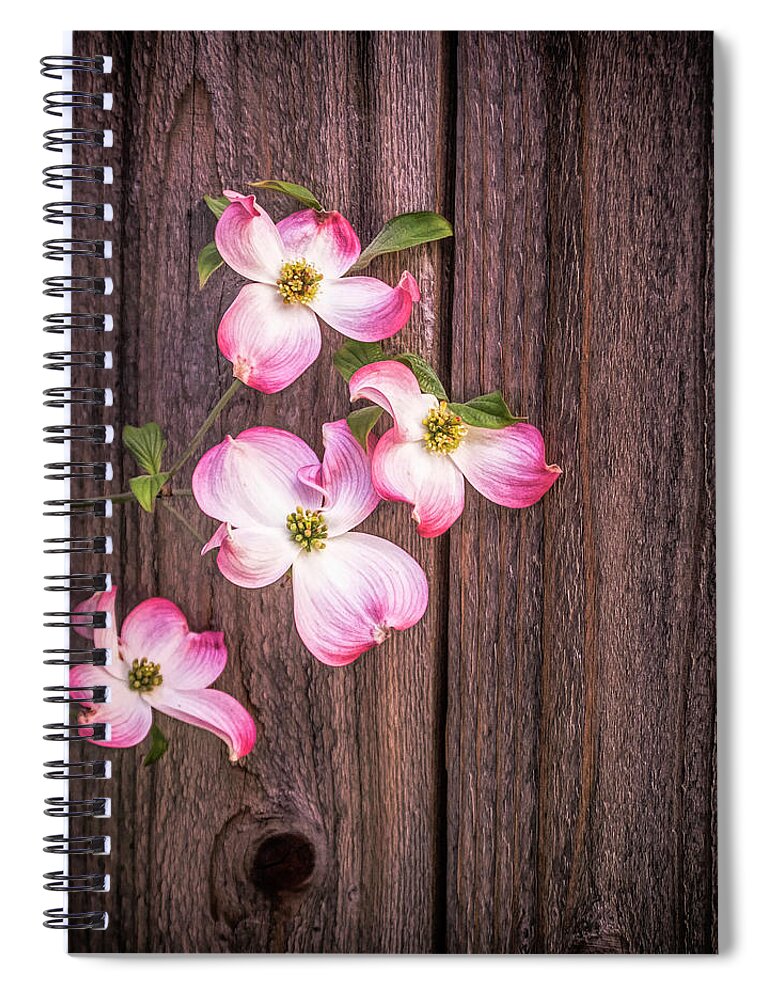 Dogwood Spiral Notebook featuring the photograph Against the Barn Wall by Steph Gabler