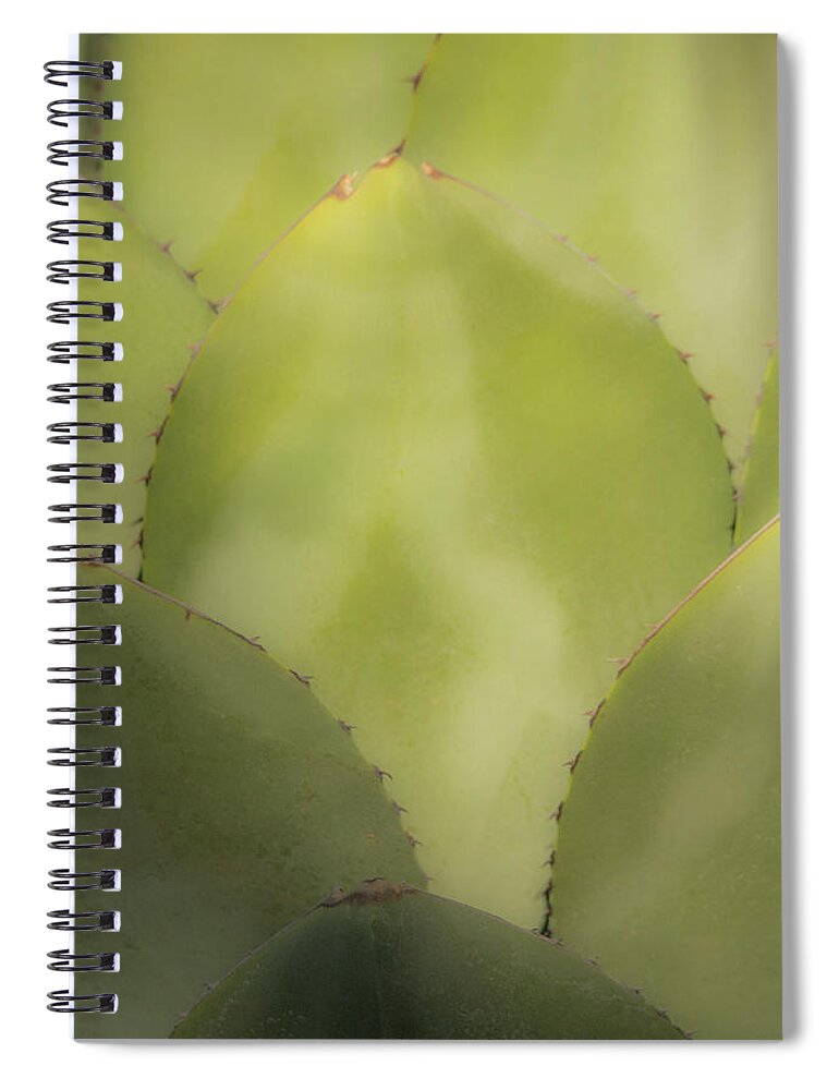 Agave Spiral Notebook featuring the photograph Agave 1686-111417-1cr by Tam Ryan