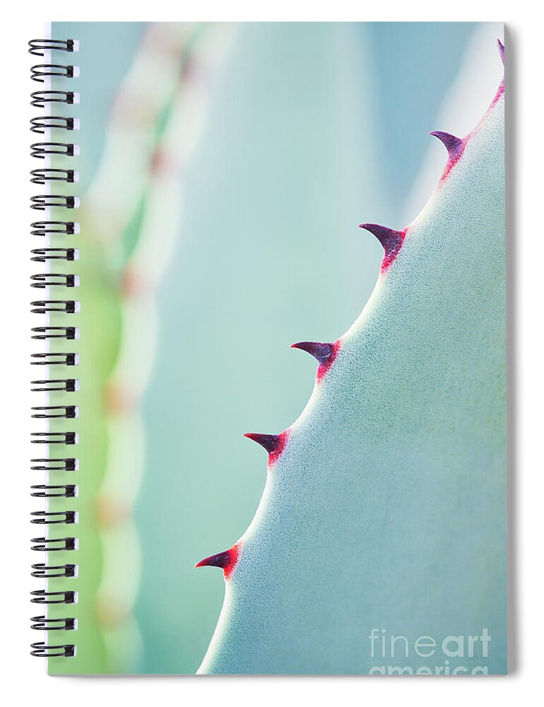 Agave Parryi Spiral Notebook featuring the photograph Agave Parryi Abstract by Tim Gainey
