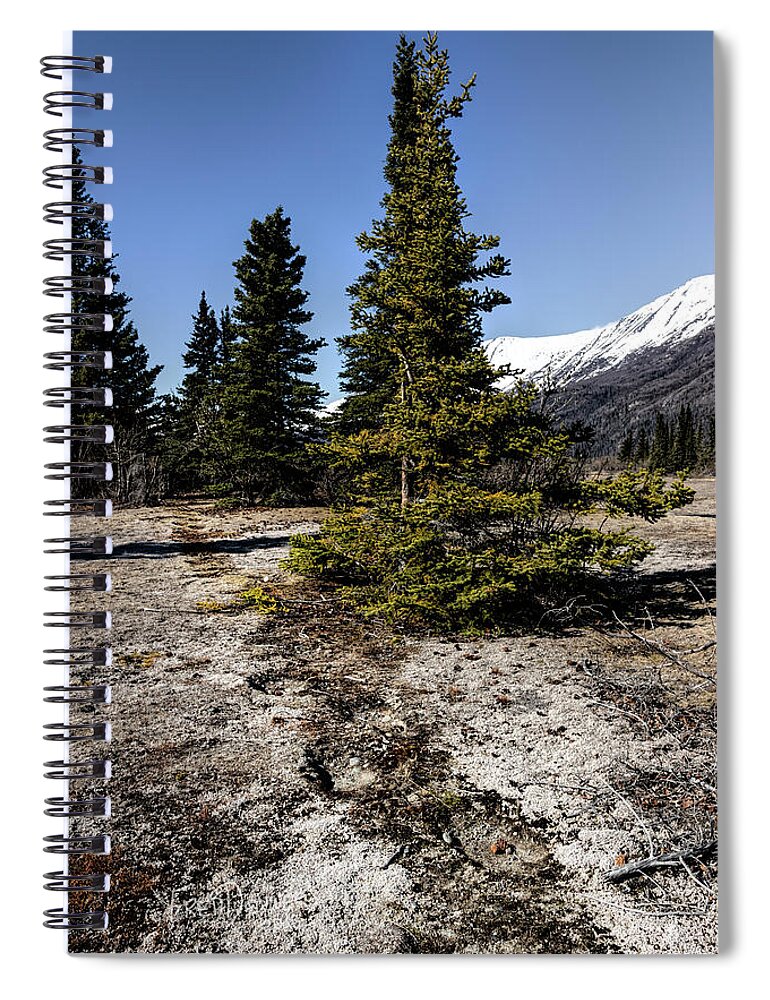 Alaska Spiral Notebook featuring the photograph Age-Old Bear Trail by Fred Denner
