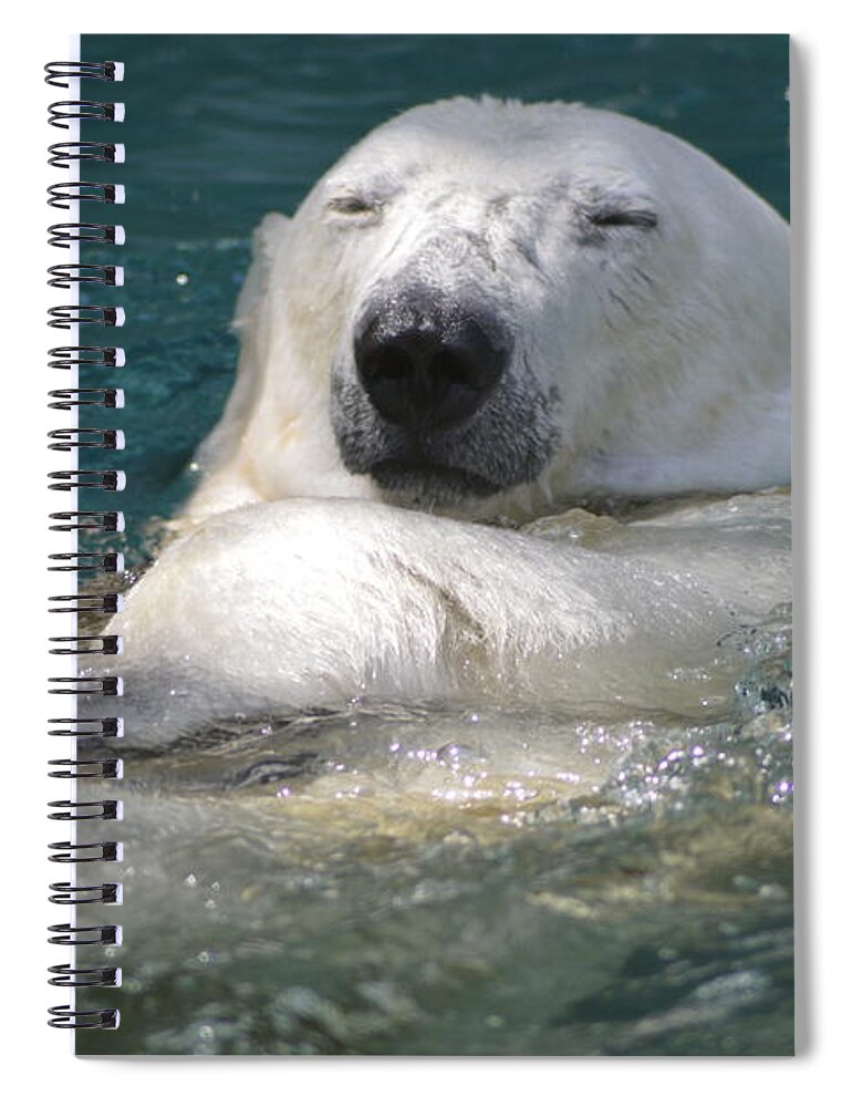 Bear Spiral Notebook featuring the photograph Ahhh by Kathy Barney