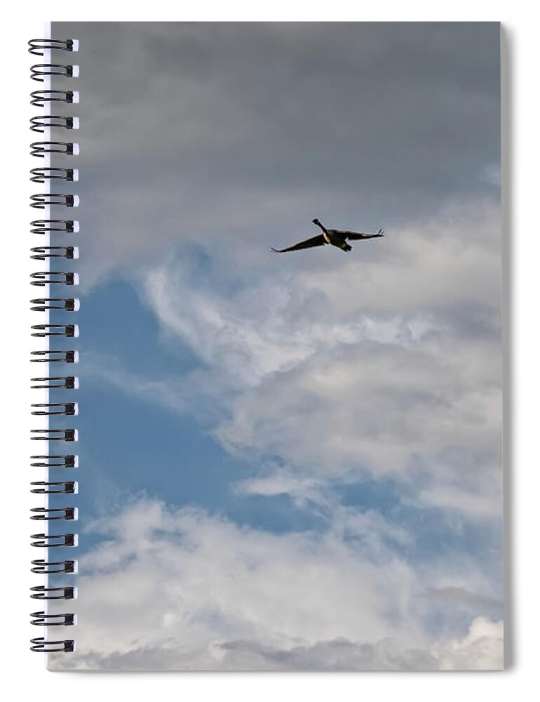 Airplane Blueprint Spiral Notebook featuring the photograph Airplane Blueprint - by Julie Weber