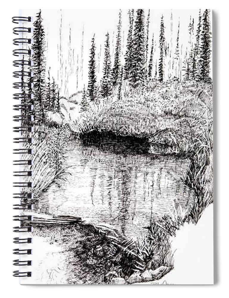 Gallery Spiral Notebook featuring the drawing Alaska Pond by Betsy Carlson Cross