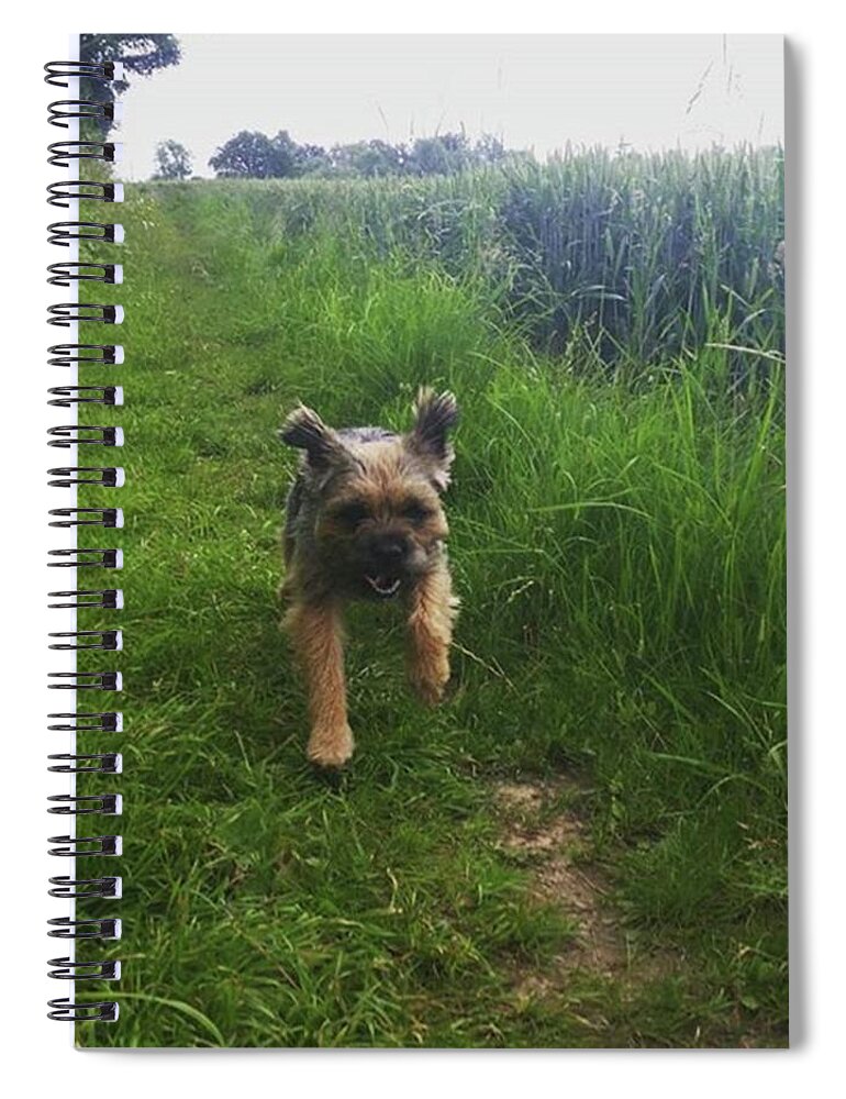 Dog Spiral Notebook featuring the photograph Cross Country by Rowena Tutty