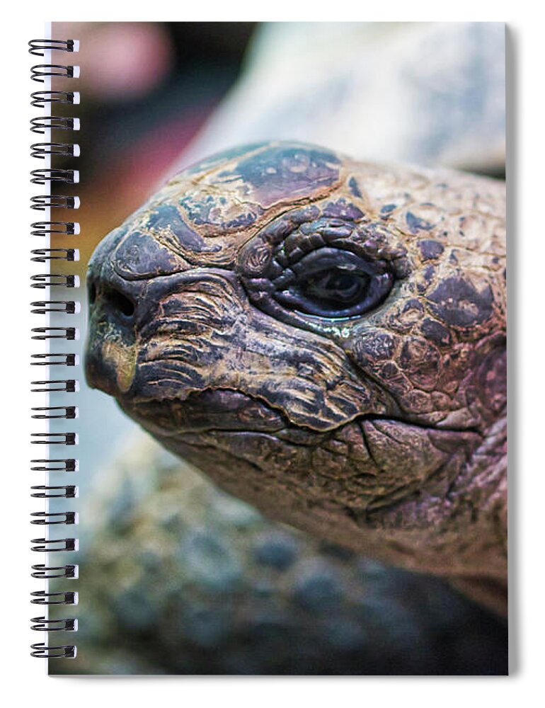Aldabara Spiral Notebook featuring the photograph Aldabra Tortoise - Madison Zoo by Steven Ralser