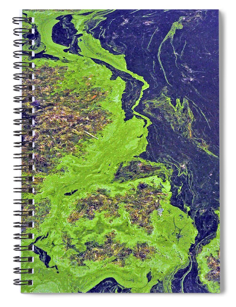 Nature Spiral Notebook featuring the photograph Algae on a Pond by Kay Lovingood