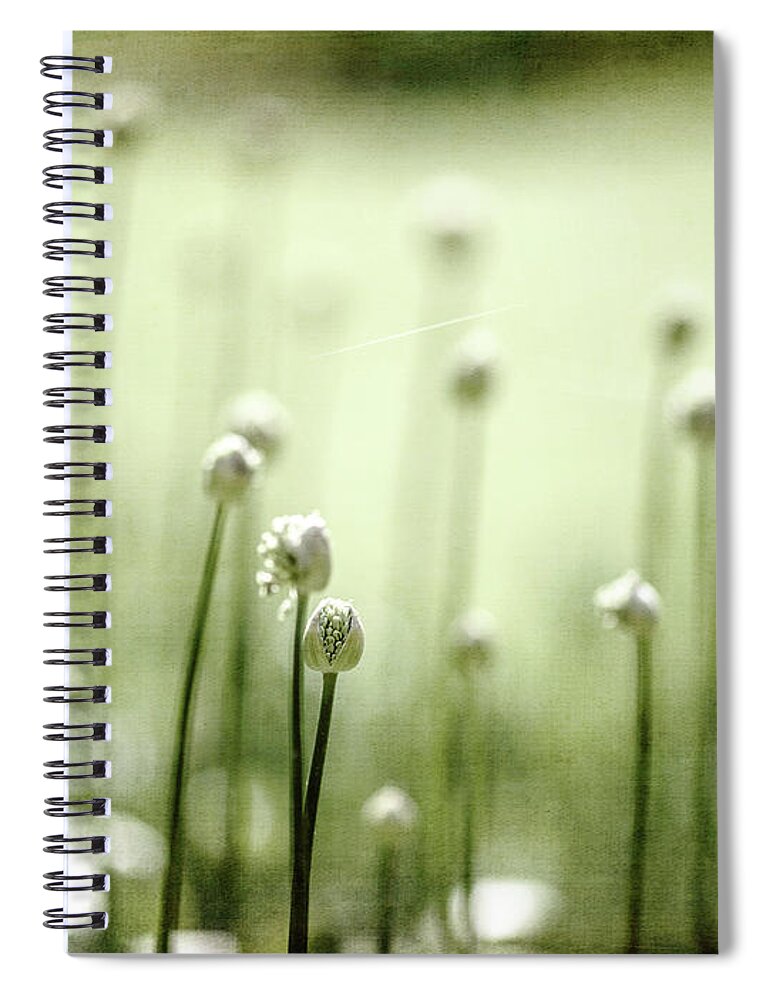 Allium Spiral Notebook featuring the photograph Aliens by Rebecca Cozart