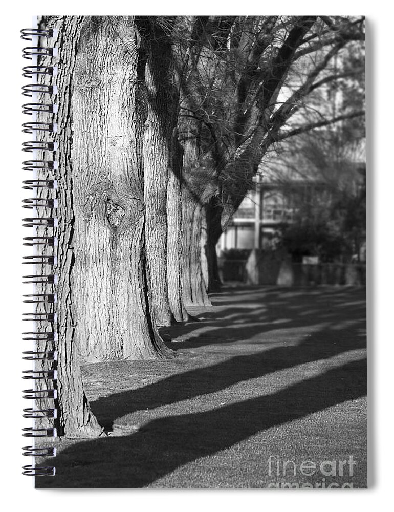 Albury Spiral Notebook featuring the photograph Aligned by Linda Lees
