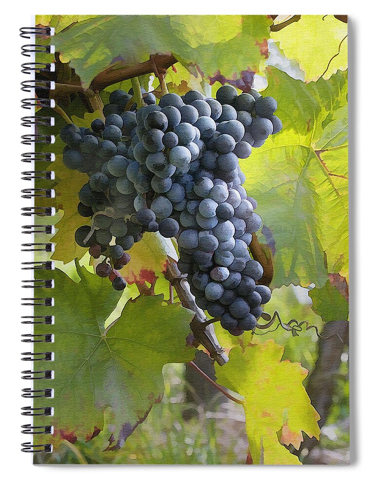 Grape Spiral Notebook featuring the photograph All Aglow by Sharon Foster
