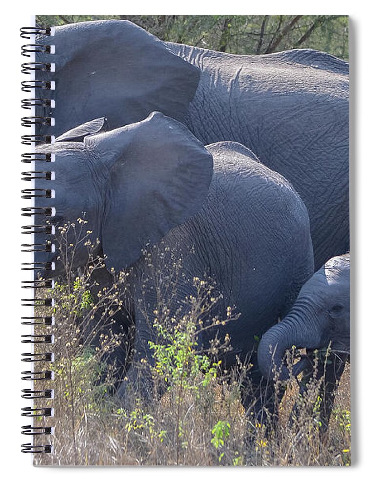Africa Spiral Notebook featuring the photograph All in the Family by Jeff at JSJ Photography